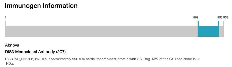 DIS3 Monoclonal Antibody (2C7)