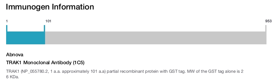 TRAK1 Monoclonal Antibody (1C5)