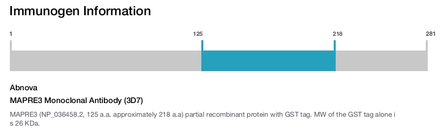 MAPRE3 Monoclonal Antibody (3D7)