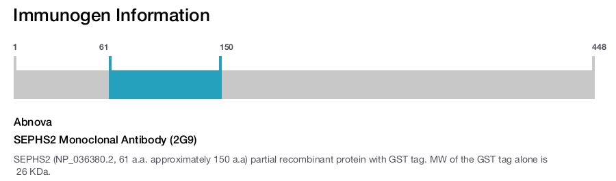SEPHS2 Monoclonal Antibody (2G9)