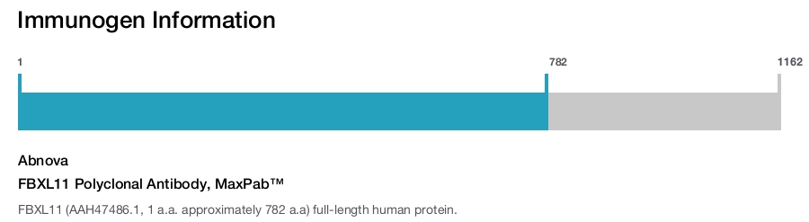 FBXL11 Polyclonal Antibody, MaxPab™