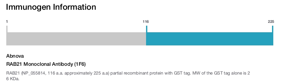 RAB21 Monoclonal Antibody (1F6)