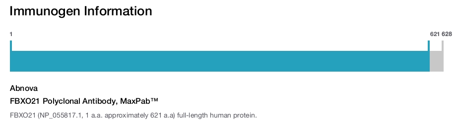 FBXO21 Polyclonal Antibody, MaxPab™
