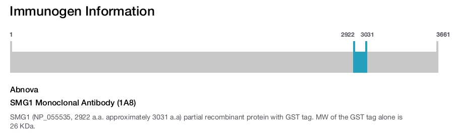 SMG1 Monoclonal Antibody (1A8)