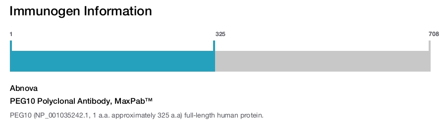 PEG10 Polyclonal Antibody, MaxPab™