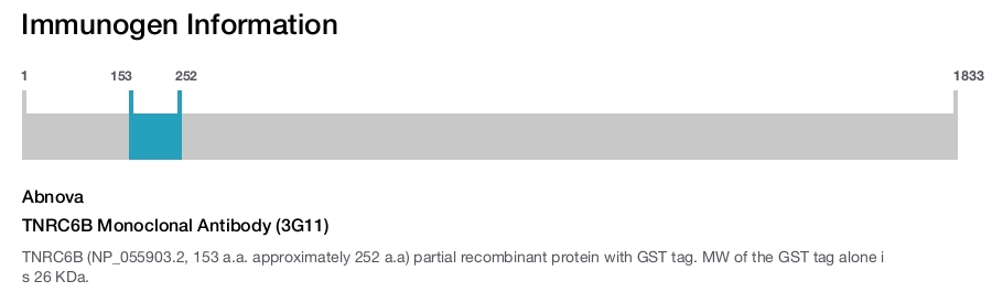 TNRC6B Monoclonal Antibody (3G11)