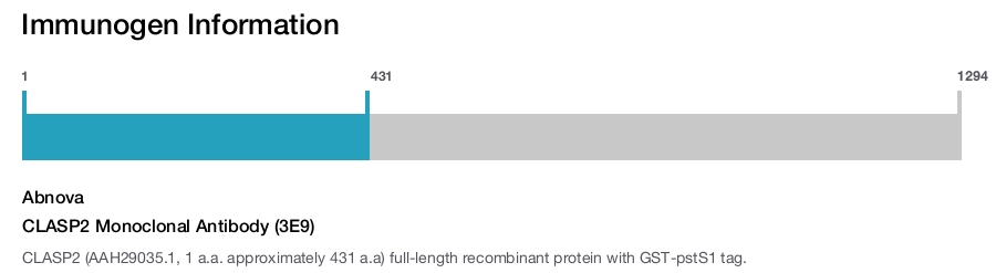 CLASP2 Monoclonal Antibody (3E9)