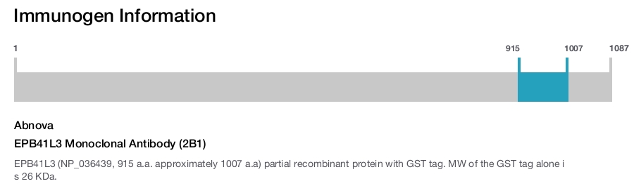 EPB41L3 Monoclonal Antibody (2B1)