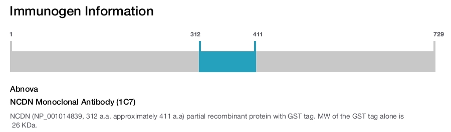NCDN Monoclonal Antibody (1C7)