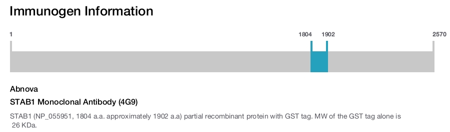 STAB1 Monoclonal Antibody (4G9)