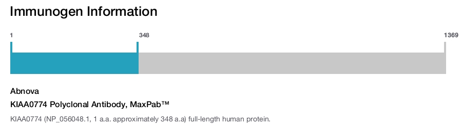 KIAA0774 Polyclonal Antibody, MaxPab™