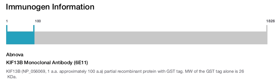 KIF13B Monoclonal Antibody (6E11)