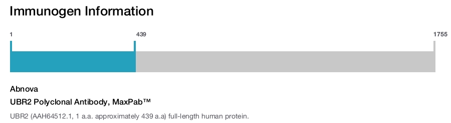 UBR2 Polyclonal Antibody, MaxPab™