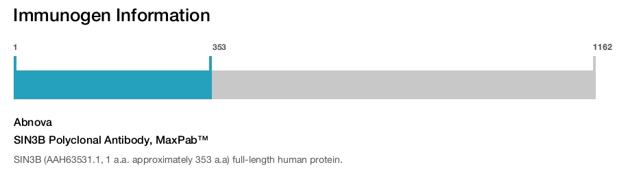 SIN3B Polyclonal Antibody, MaxPab™