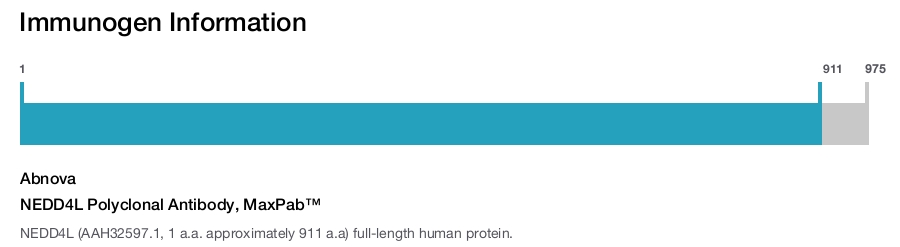 NEDD4L Polyclonal Antibody, MaxPab™