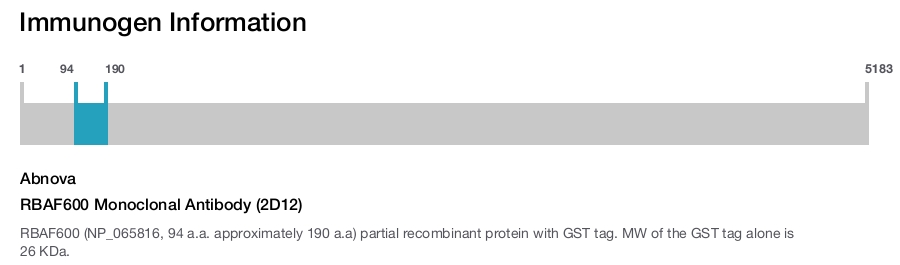 RBAF600 Monoclonal Antibody (2D12)