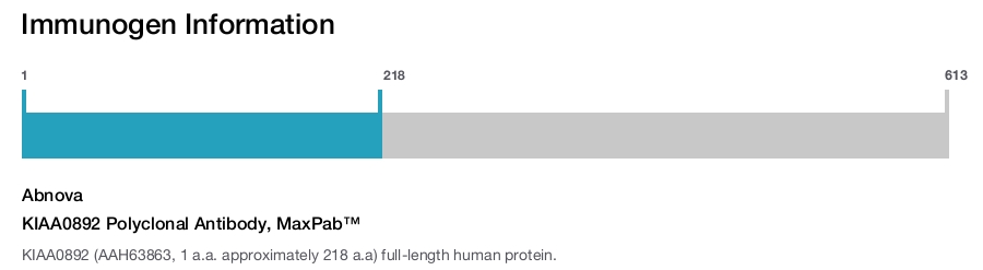 KIAA0892 Polyclonal Antibody, MaxPab™
