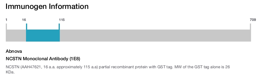 NCSTN Monoclonal Antibody (1E8)
