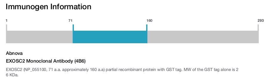 EXOSC2 Monoclonal Antibody (4B6)