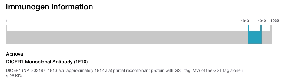 DICER1 Monoclonal Antibody (1F10)
