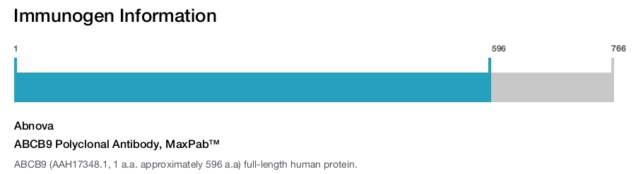 ABCB9 Polyclonal Antibody, MaxPab™
