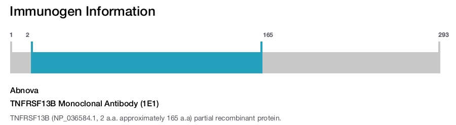 TNFRSF13B Monoclonal Antibody (1E1)