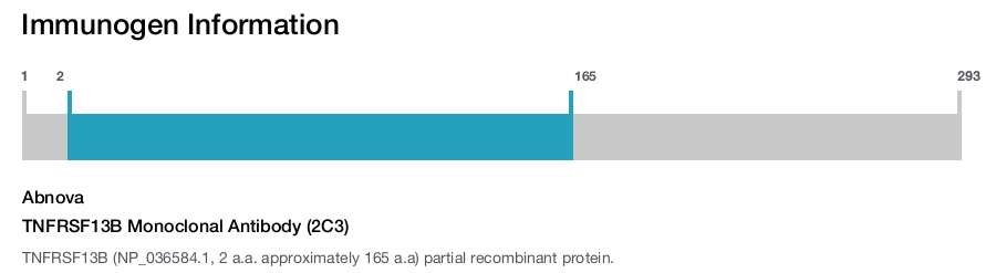 TNFRSF13B Monoclonal Antibody (2C3)