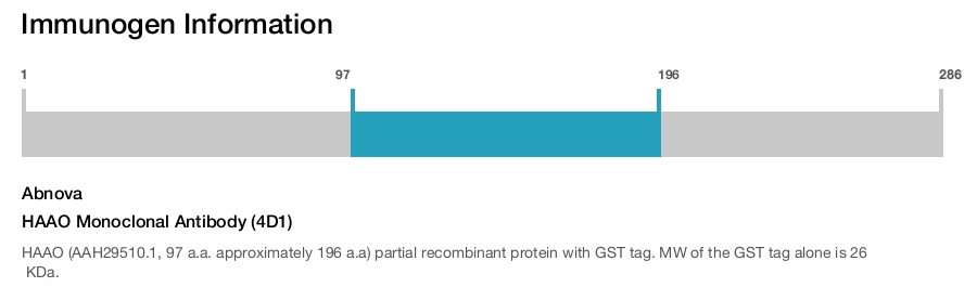 HAAO Monoclonal Antibody (4D1)