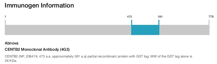 CENTB2 Monoclonal Antibody (4G3)