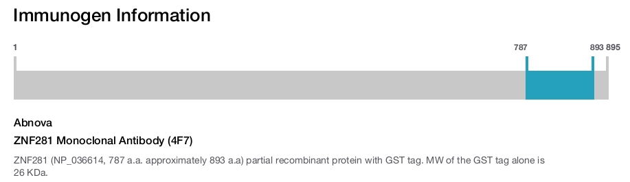 ZNF281 Monoclonal Antibody (4F7)