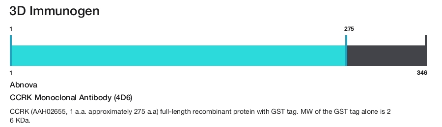 CCRK Monoclonal Antibody (4D6)