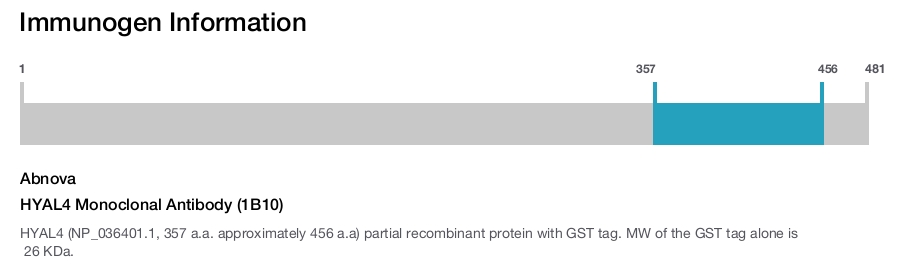 HYAL4 Monoclonal Antibody (1B10)