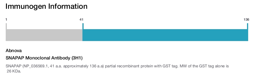 SNAPAP Monoclonal Antibody (3H1)