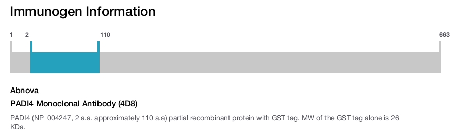 PADI4 Monoclonal Antibody (4D8)