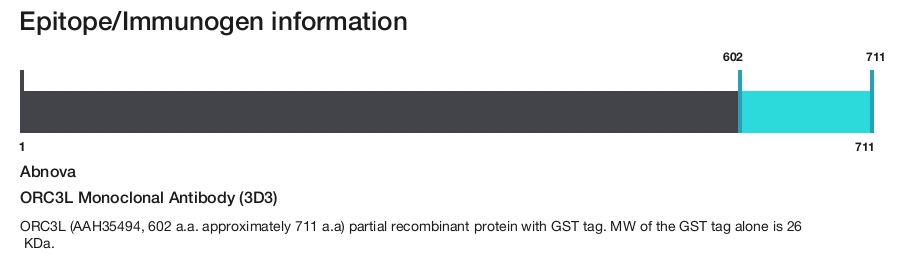 ORC3L Monoclonal Antibody (3D3)
