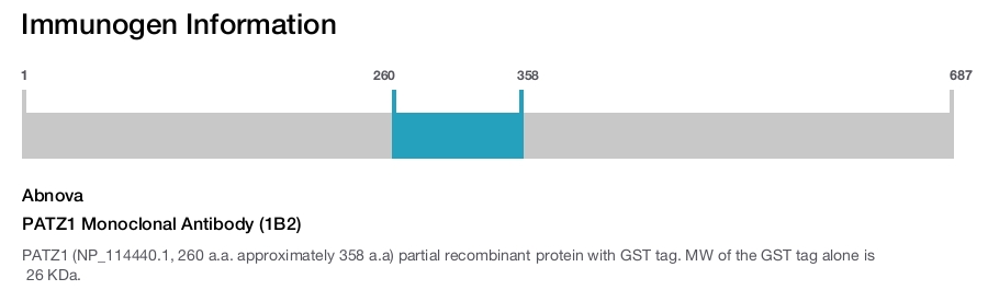 PATZ1 Monoclonal Antibody (1B2)
