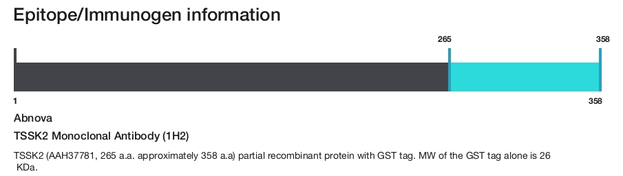 TSSK2 Monoclonal Antibody (1H2)