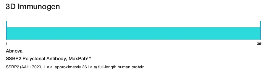 SSBP2 Polyclonal Antibody, MaxPab&trade;