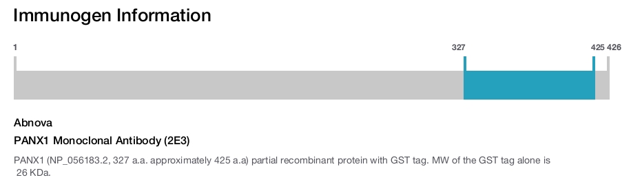 PANX1 Monoclonal Antibody (2E3)