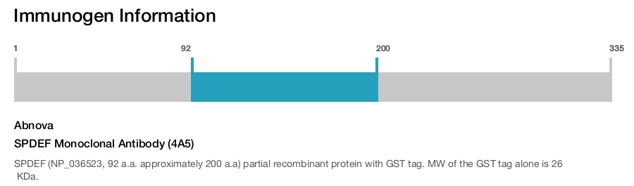 SPDEF Monoclonal Antibody (4A5)