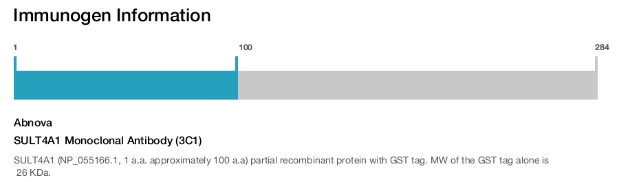 SULT4A1 Monoclonal Antibody (3C1)