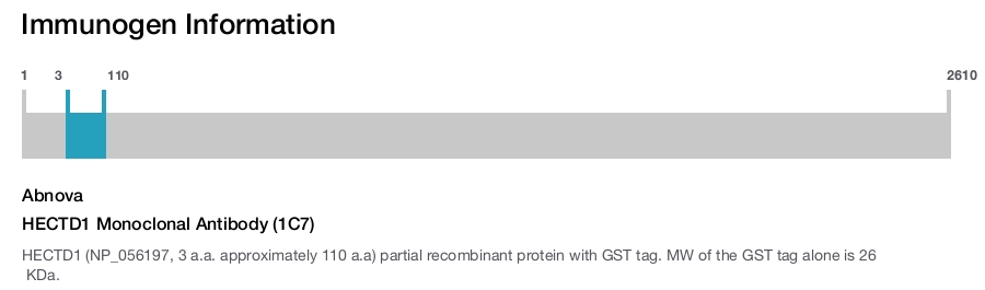 HECTD1 Monoclonal Antibody (1C7)