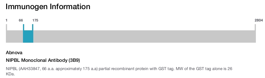 NIPBL Monoclonal Antibody (3B9)