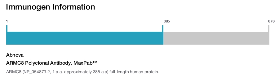 ARMC8 Polyclonal Antibody, MaxPab™