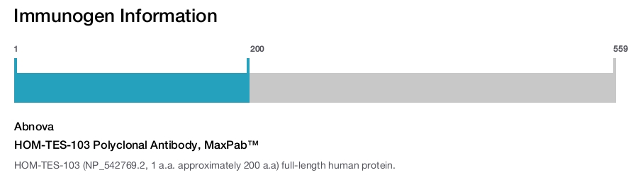 HOM-TES-103 Polyclonal Antibody, MaxPab™