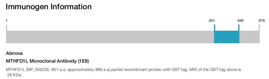 MTHFD1L Monoclonal Antibody (1E8)