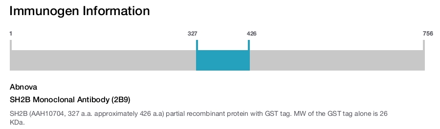 SH2B Monoclonal Antibody (2B9)