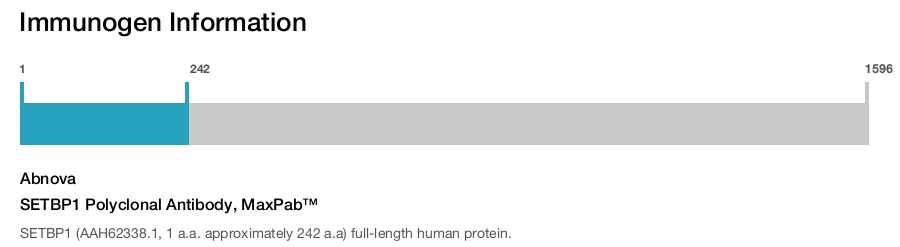 SETBP1 Polyclonal Antibody, MaxPab™