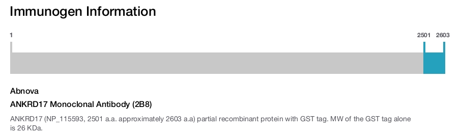 ANKRD17 Monoclonal Antibody (2B8)
