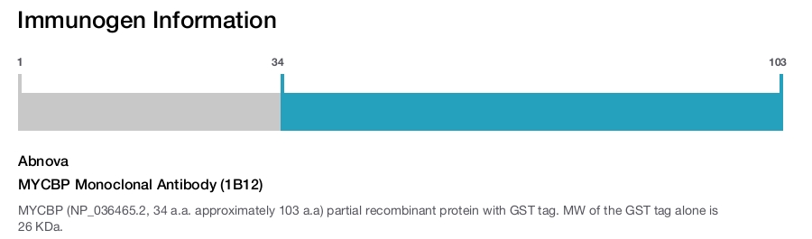 MYCBP Monoclonal Antibody (1B12)